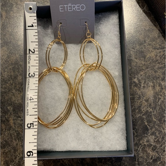 Jewelry Bundle Lia Sophia Necklaces and Etereo Earrings - Picture 6 of 7